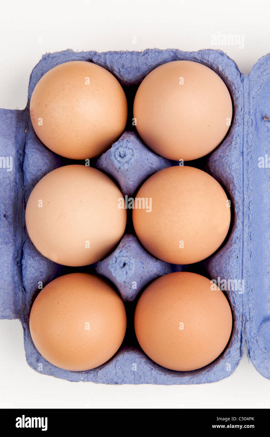 Box of eggs Stock Photo Alamy