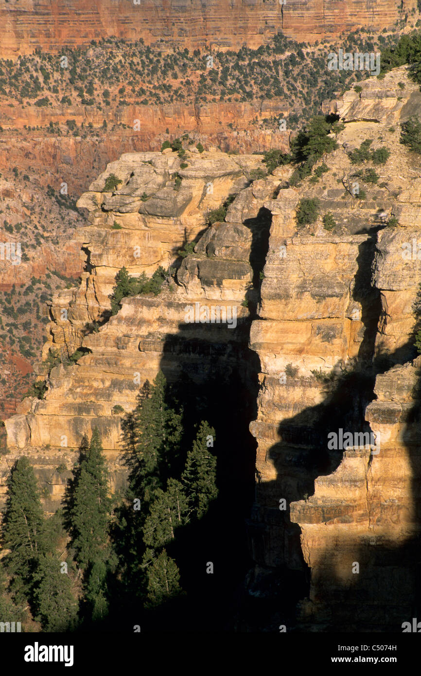 Afternoon light on the Grand Canyon from Yavapai Point, South Rim, Grand Canyon National Park, ARIZONA Stock Photo