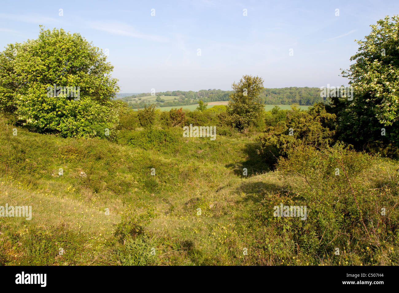 Noar Hill nature reserve habitat, managed for butterflies, Hampshire in May. Stock Photo