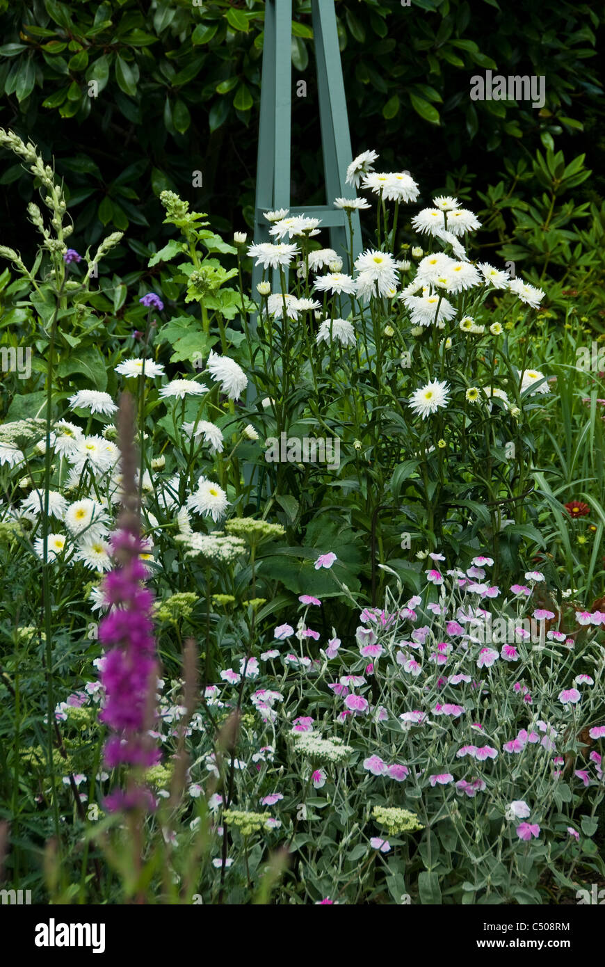 A summer border in an English garden. Stock Photo