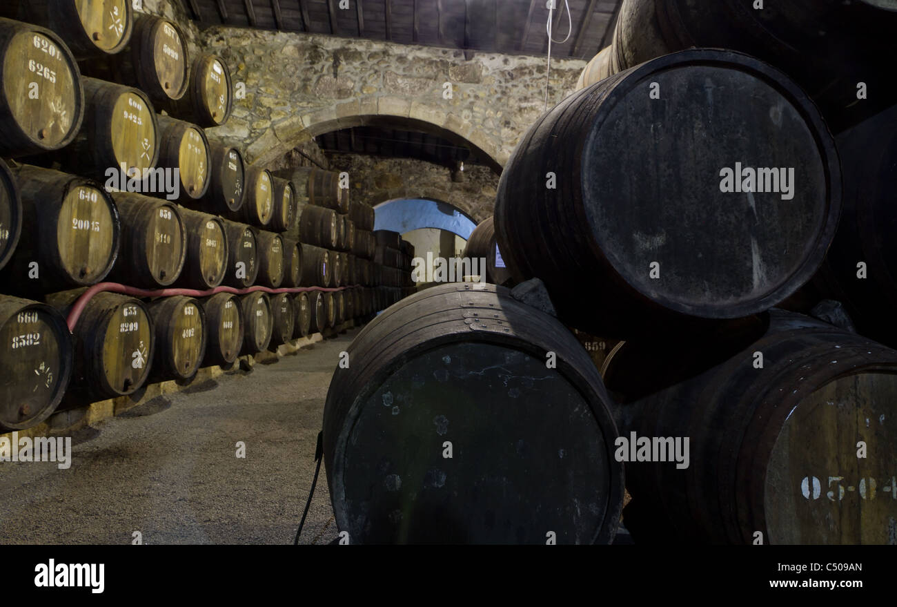 wooden casks of different sizes hold Port fortified wine to mature in