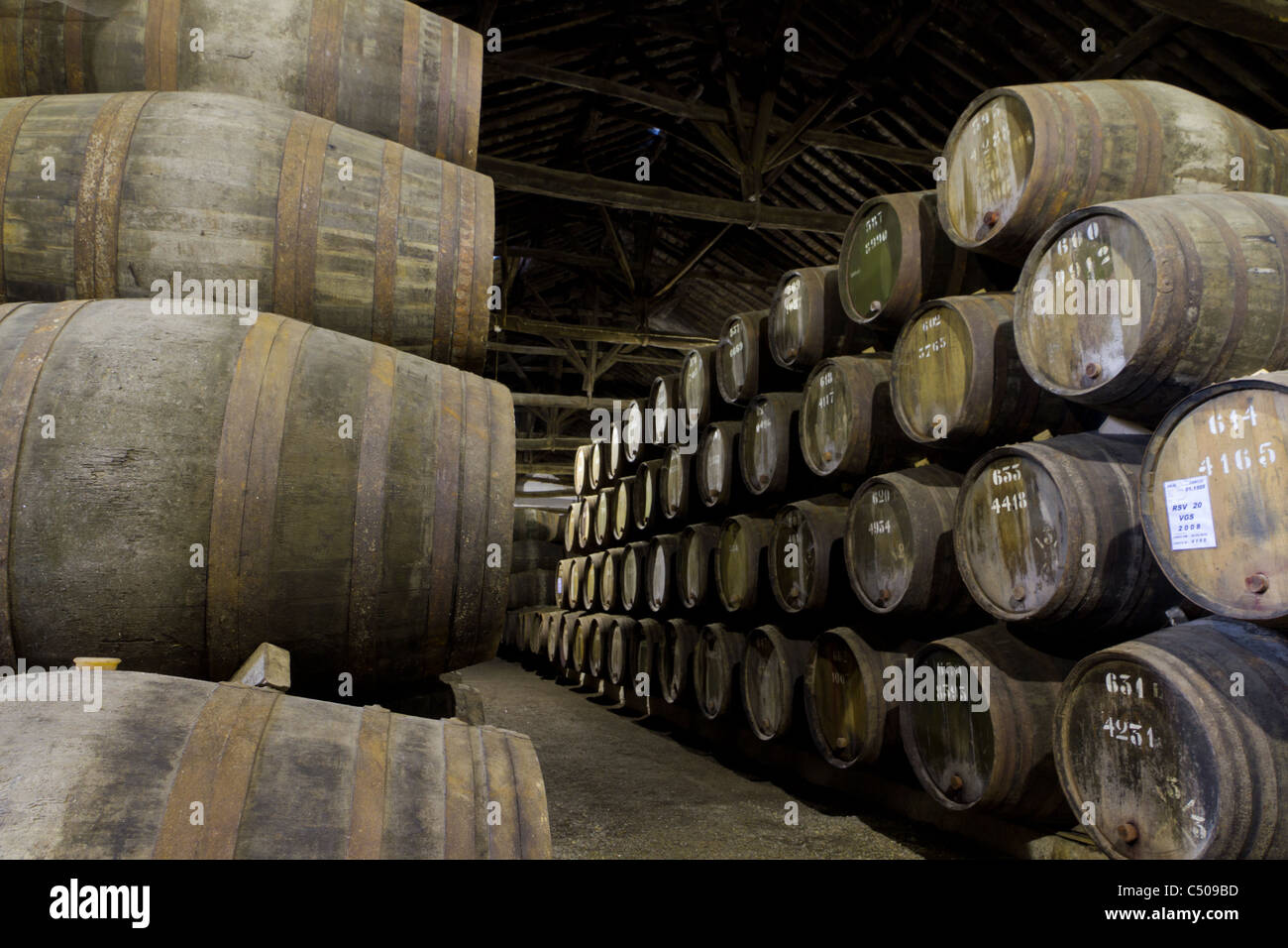 wooden casks of different sizes hold Port fortified wine to mature in