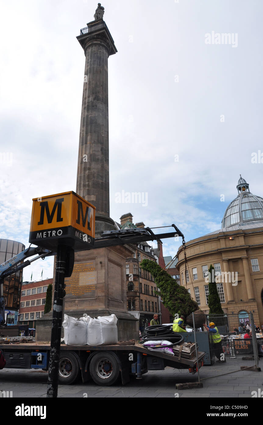 Erecting Grey street garden trees vandalism monument Newcastle upon Tyne fir renovation builders