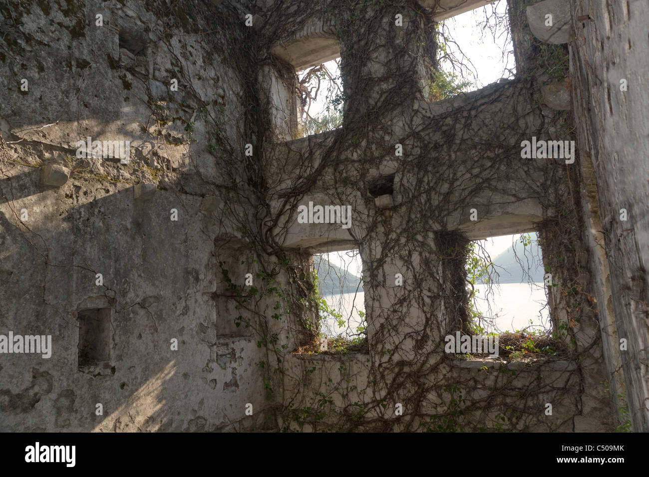 Interior Of Abandoned House Overgrown By Vines And Broken Windows Stock Photo Alamy