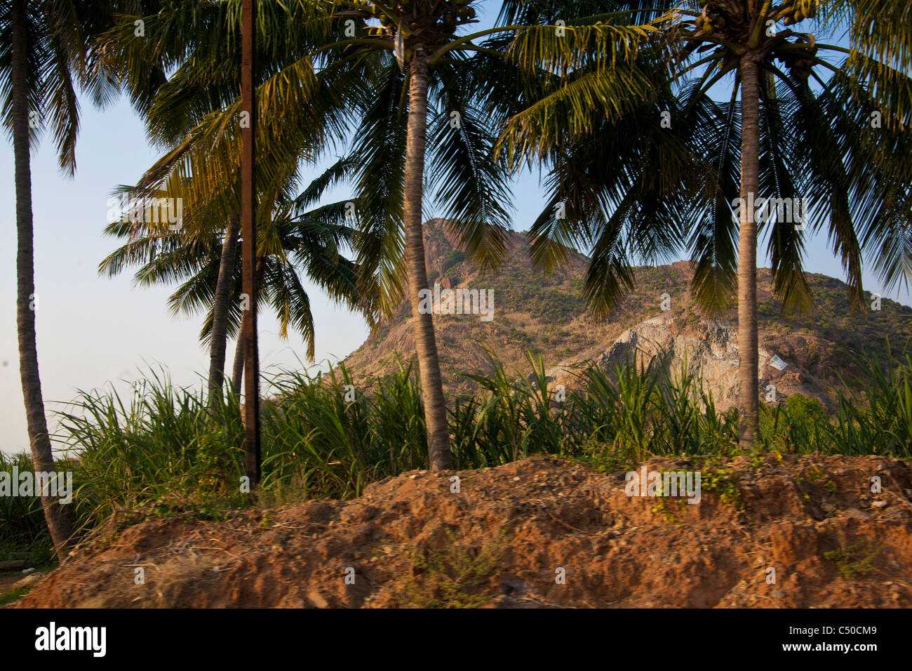 Landscape tamil nadu near border hi-res stock photography and images ...