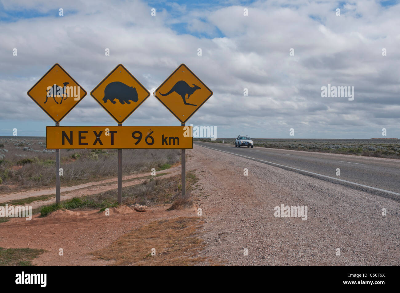 Road signs on the Nullarbor Plain indicating the presence of Camels, wombat, and kangaroos on the road ahead Stock Photo
