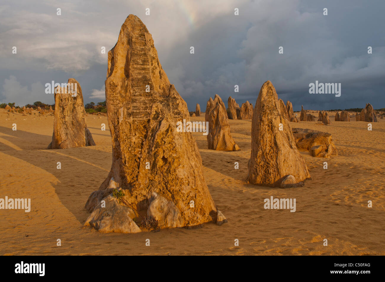 Rock formations in the Pinnacles Desert, Western Australia Stock Photo