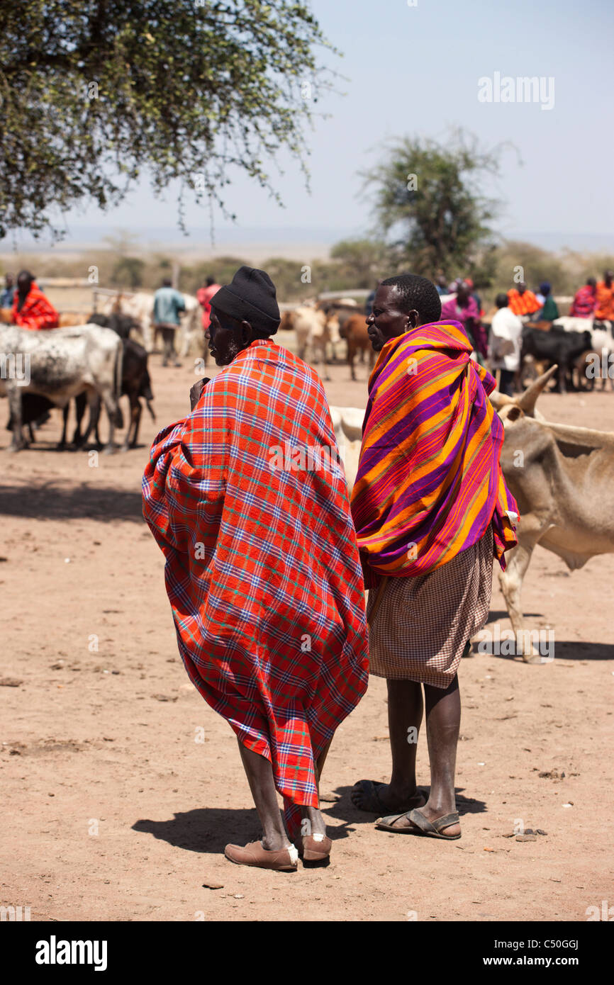 The Masai cattle market at Aitong. Masai Mara Northern Conservancy, Kenya. Stock Photo