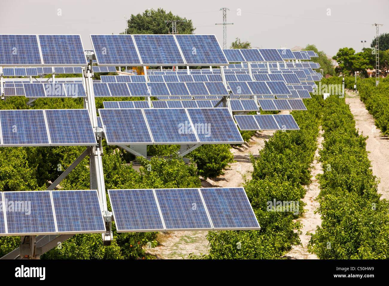 A photo voltaic solar power station near Mercia, Spain, amongst an ...