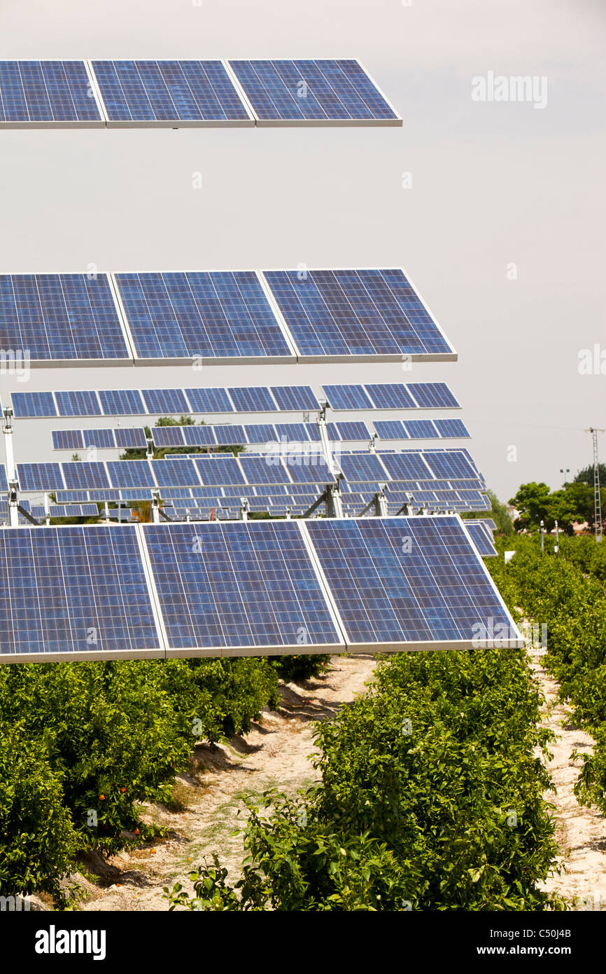 A photo voltaic solar power station near Mercia, Spain, amongst an ...