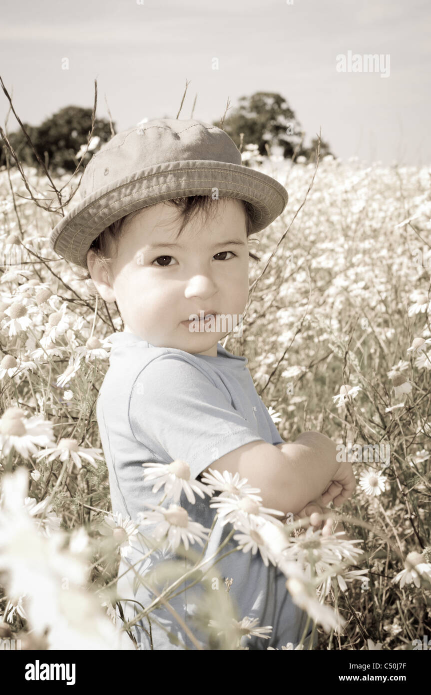 A little boy in a field of flowers. Toning Stock Photo - Alamy