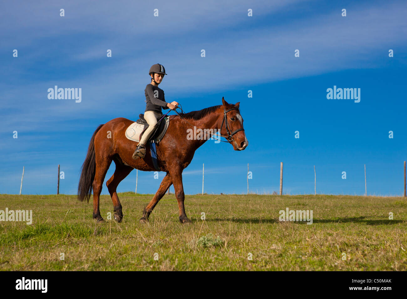 Young Girl Riding a Horse in Knysna, Garden Route, South Africa Stock Photo