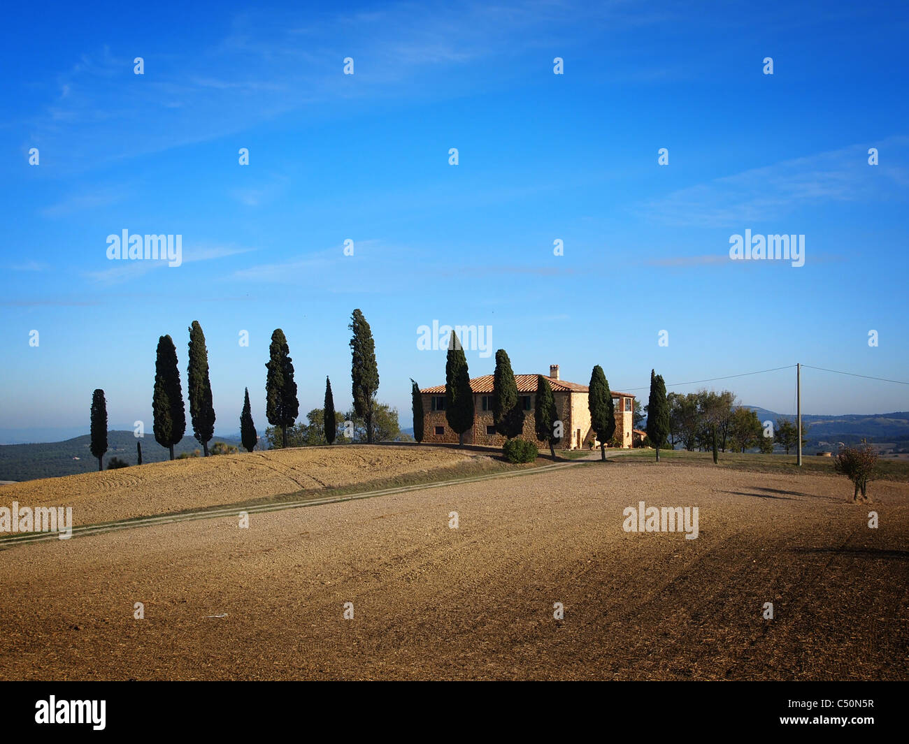Typical farmhouse with cypress trees near Pienza in the Val d’Orcia in ...
