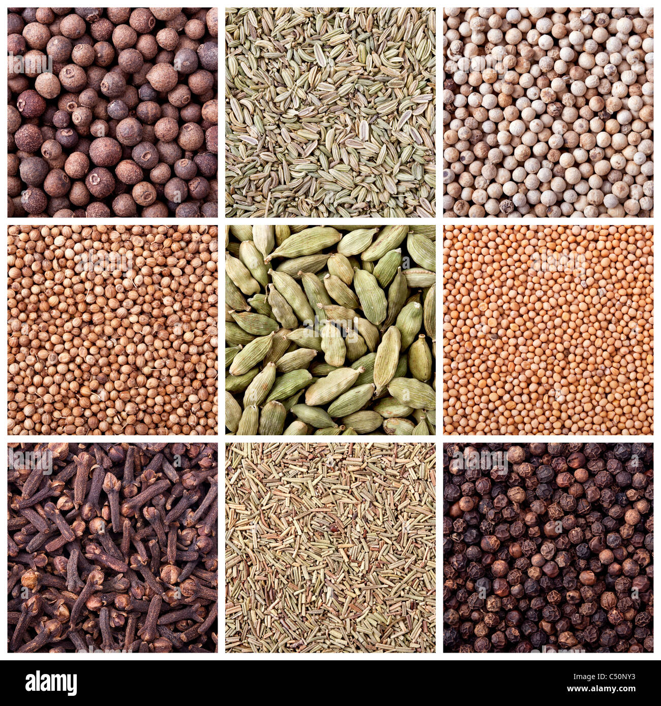 Background of different spices Stock Photo