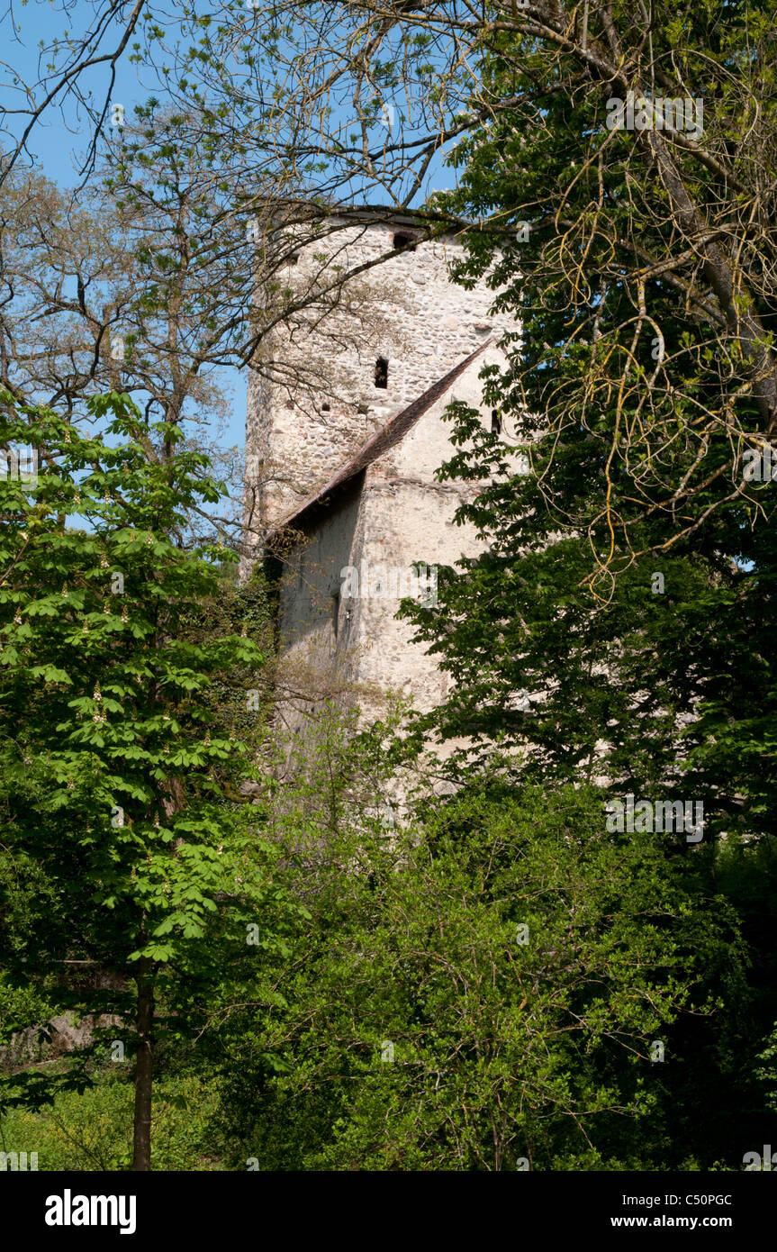 The Max Planck Institut of Ornithology is situated in Moeggingen castle near the Lake Constance.  Schloss Möggingen Stock Photo