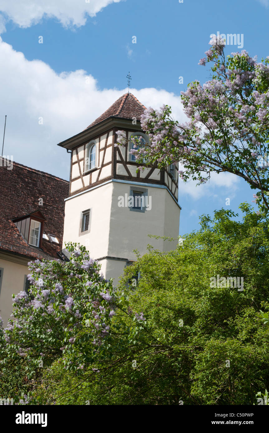 The Max Planck Institut of Ornithology is situated in Moeggingen castle near the Lake Constance.  Schloss Möggingen Stock Photo