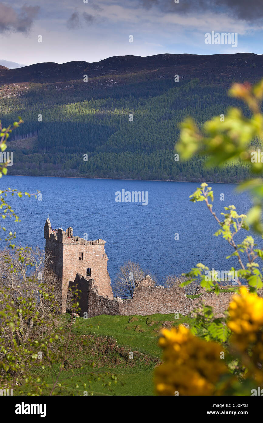 Urquhart Castle, Loch Ness, Inverness, Scotland, Europe Stock Photo
