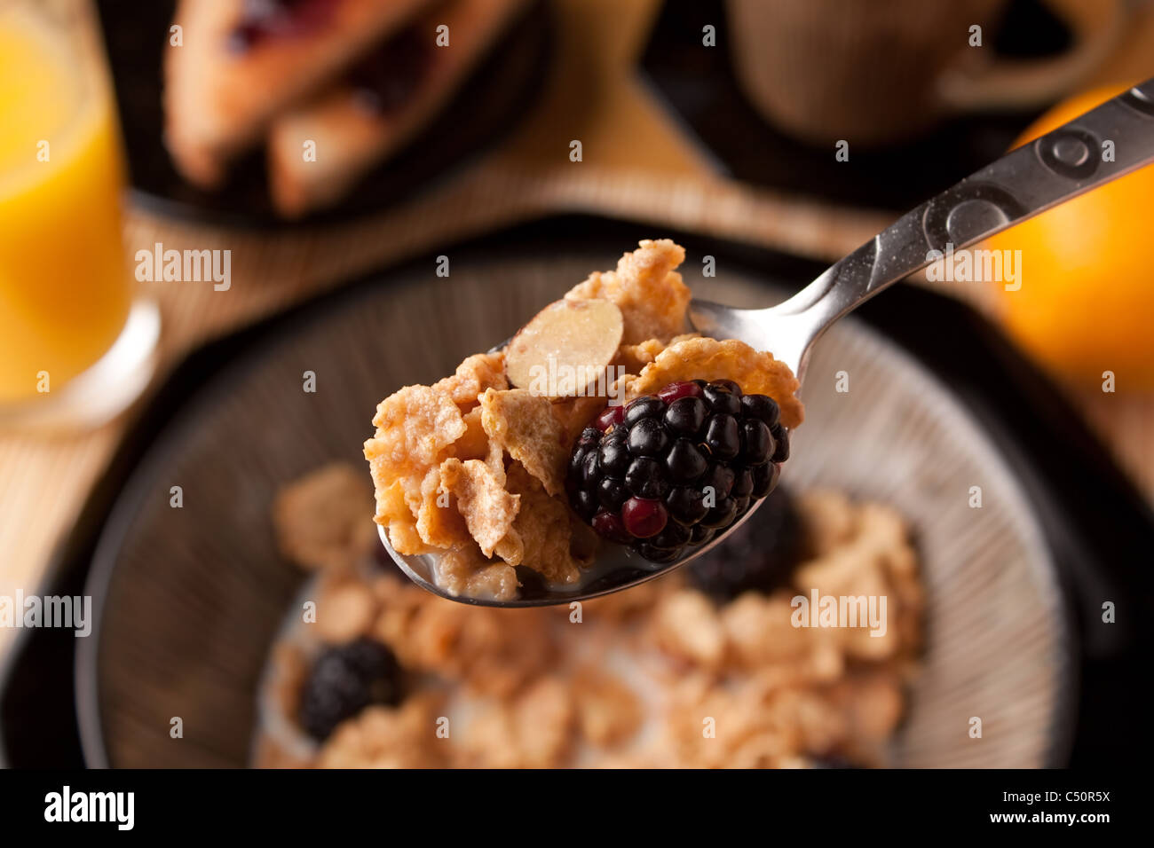 Close up of a spoon full of breakfast cereal flakes with almonds and blackberries. Shallow depth of field. Stock Photo