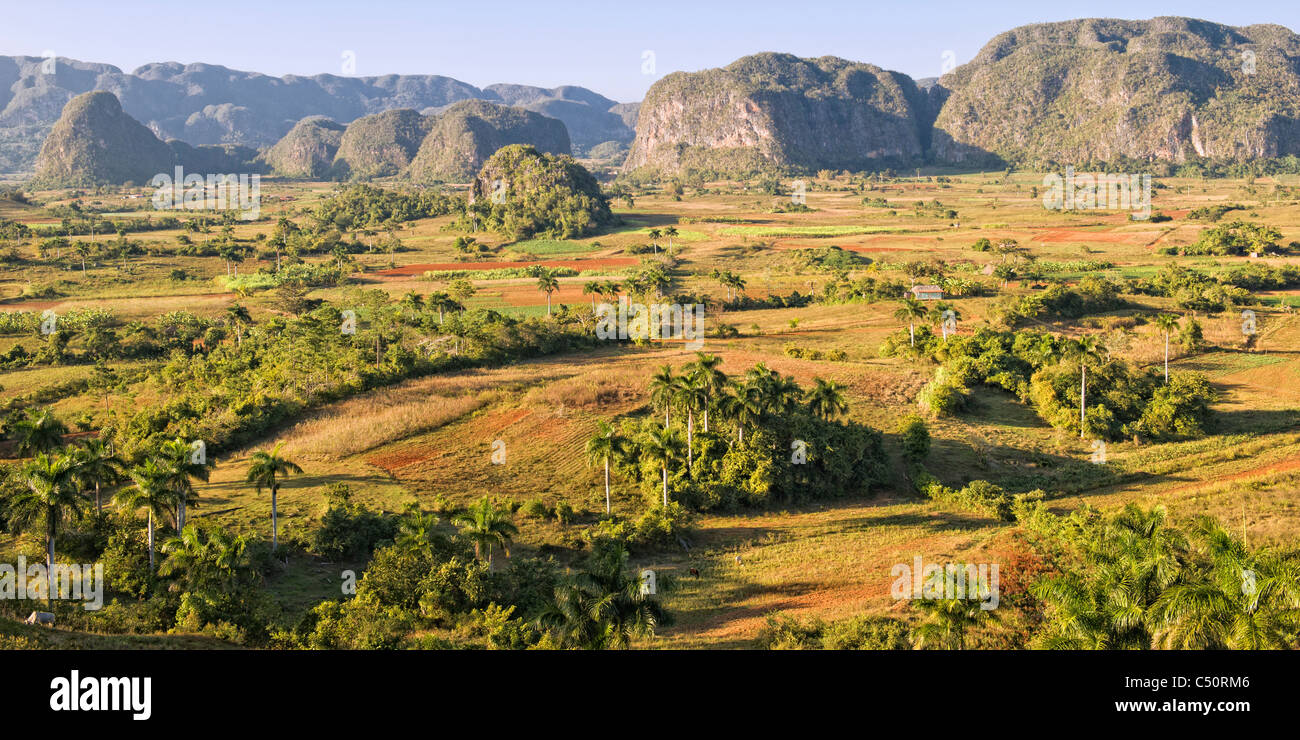 Vinales Valley, Tobacco plantation, Mogotes, Vinales, Pinar del Rio Province, Cuba Stock Photo