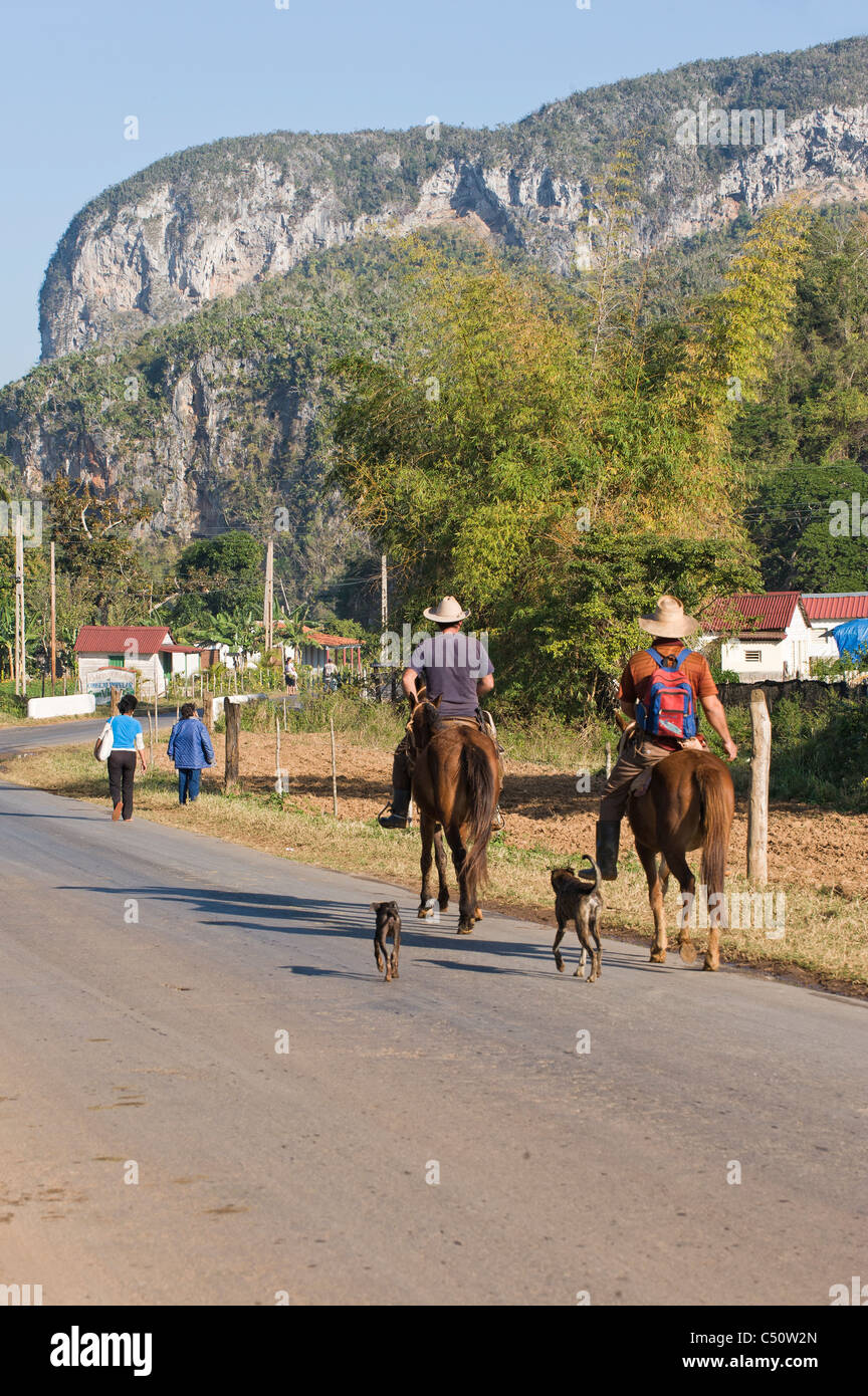 Two men riding horses, Vinales, Pinar del Rio Province, Cuba Stock Photo