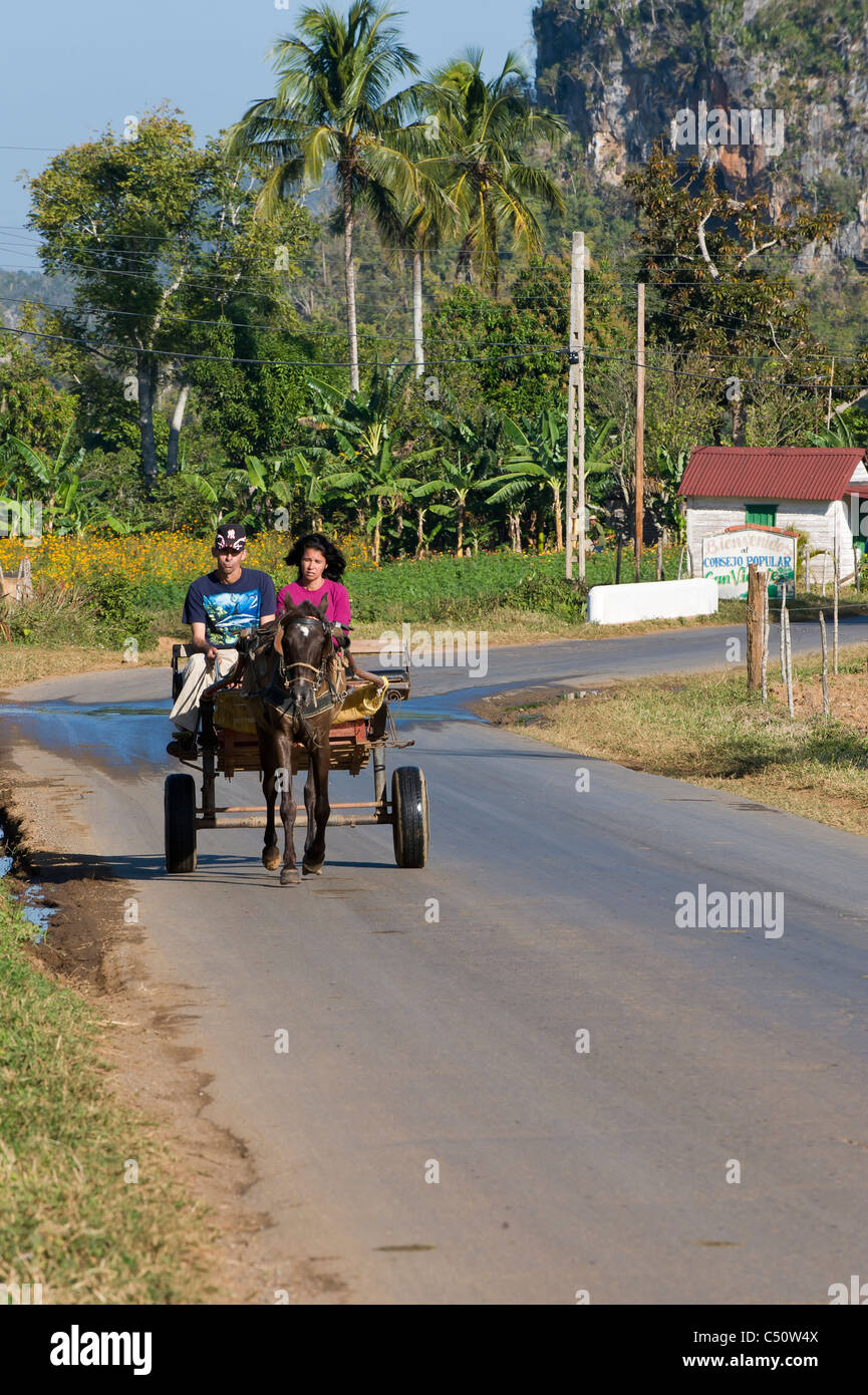 Two people on a horse cart, Vinales, Pinar del Rio Province, Cuba Stock Photo