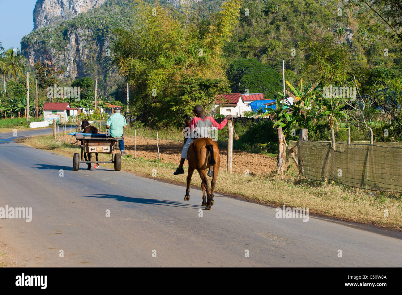 One boy riding a horse and one man on a horse cart, Vinales, Pinar del Rio Province, Cuba Stock Photo
