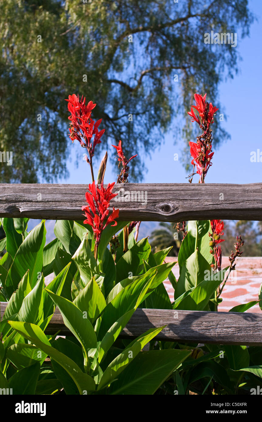 Wood rail hi-res stock photography and images - Alamy