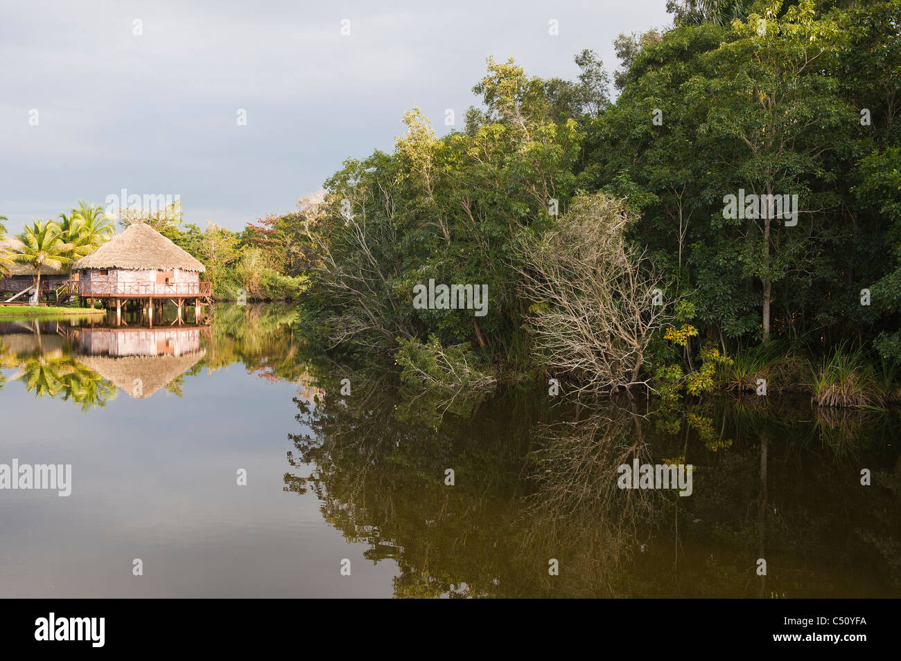 Laguna del Tesoro, Treasure Lagoon, Palm trees and wooden cabins, Zapata Peninsula, Cuba Stock Photo