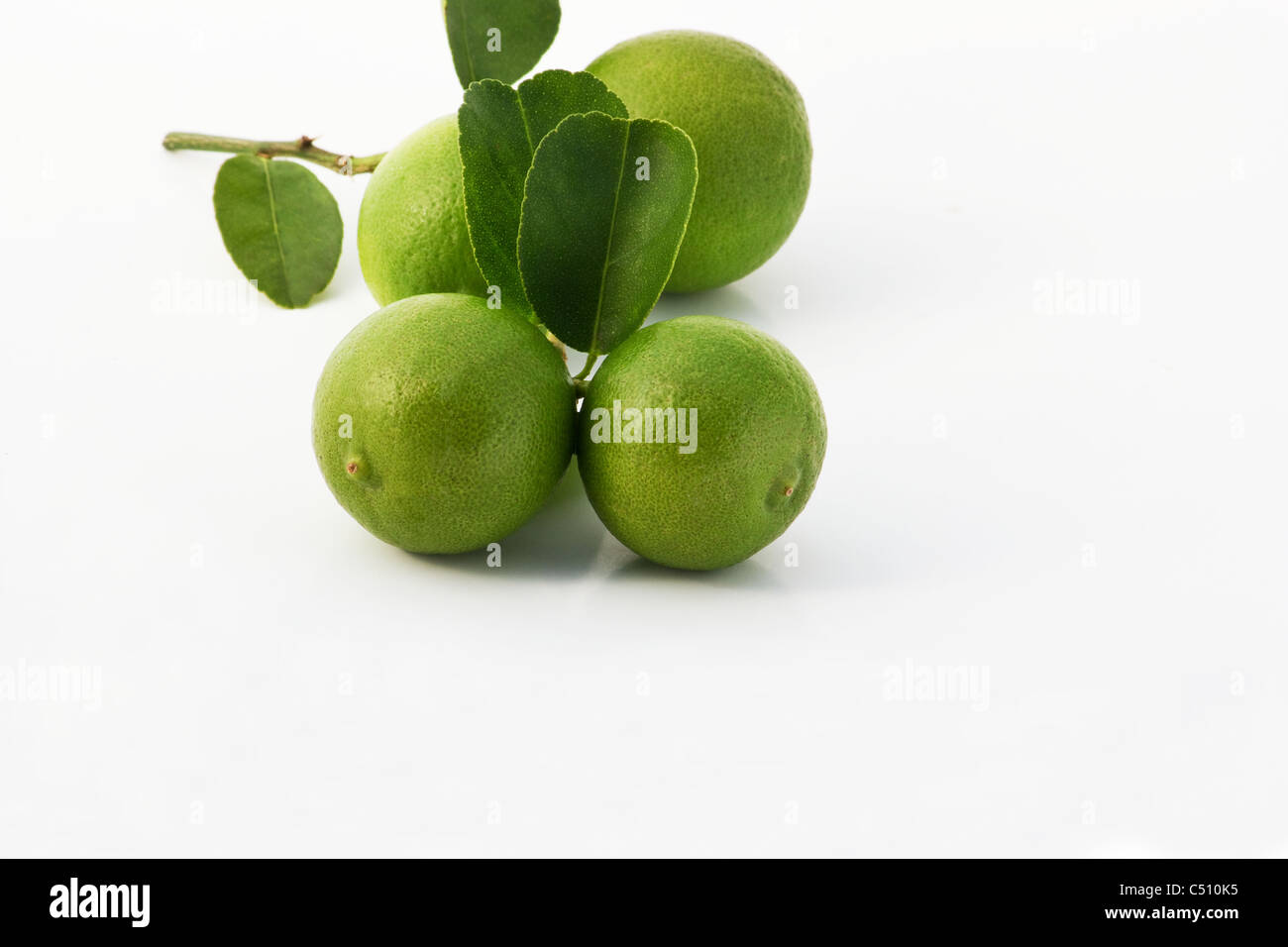 Close-up or organic limes on white background Stock Photo