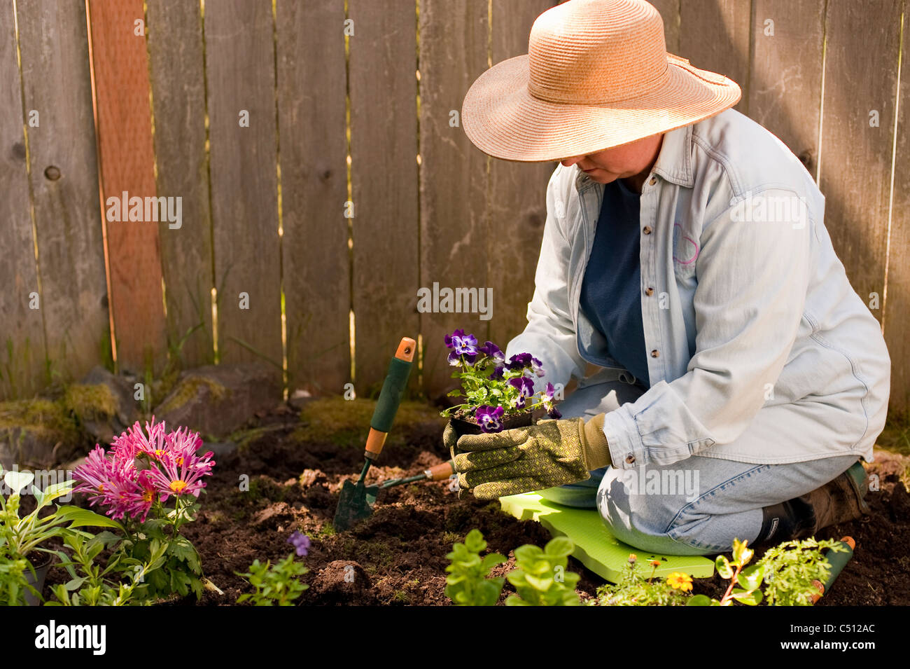 Mature woman gardening in backyard planting flowers and plants Stock ...
