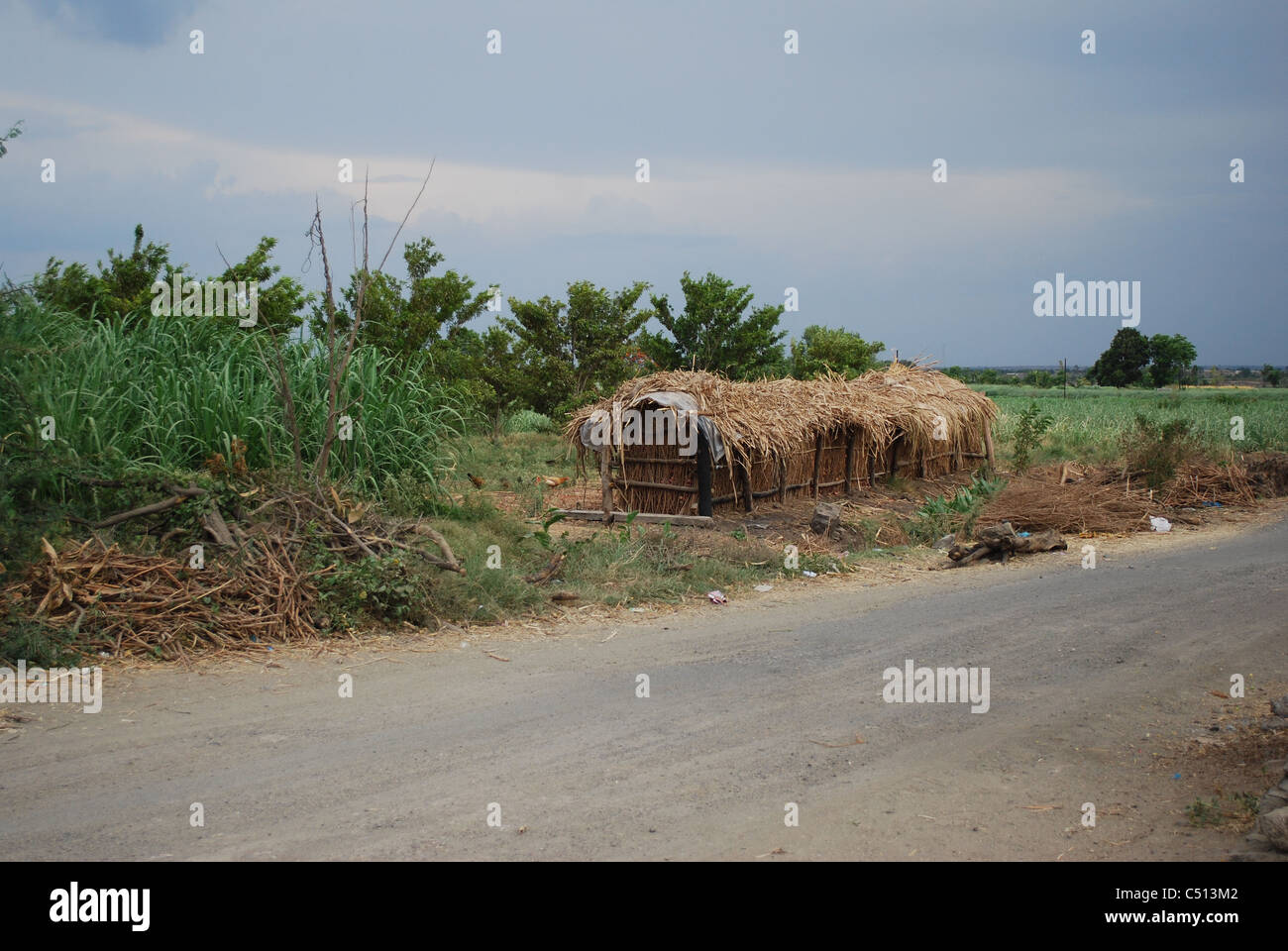 traditional onion storage Stock Photo Alamy