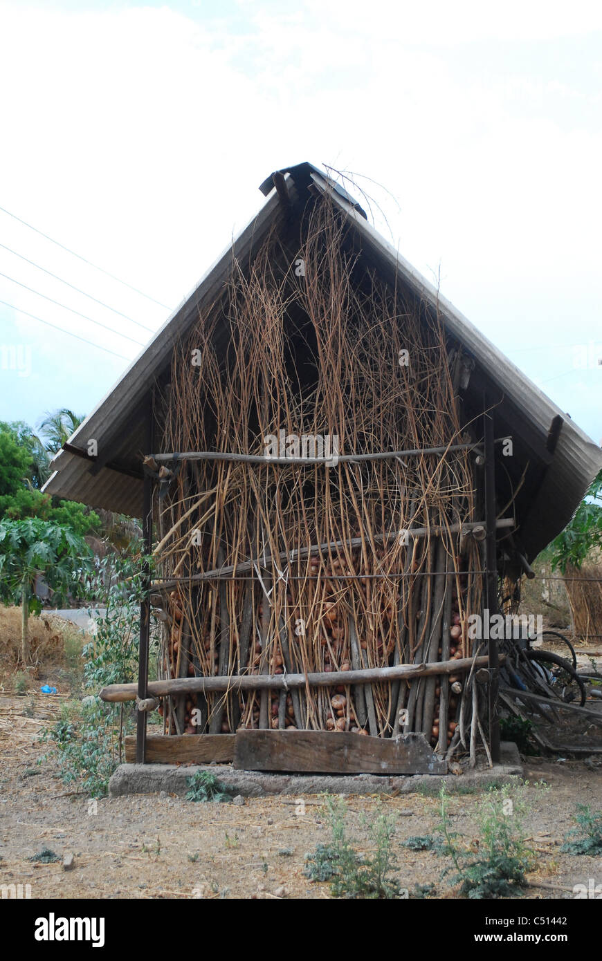 traditional onion storage Stock Photo Alamy