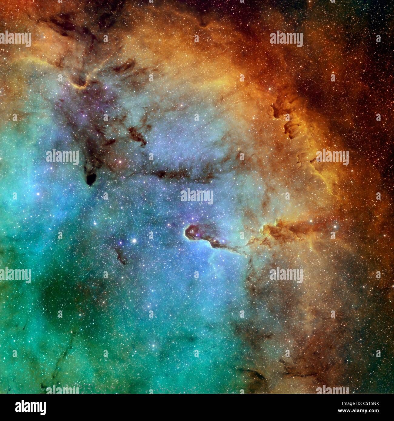 IC 1396, The Elephant Trunk Nebula in Hubblepalette color mapping