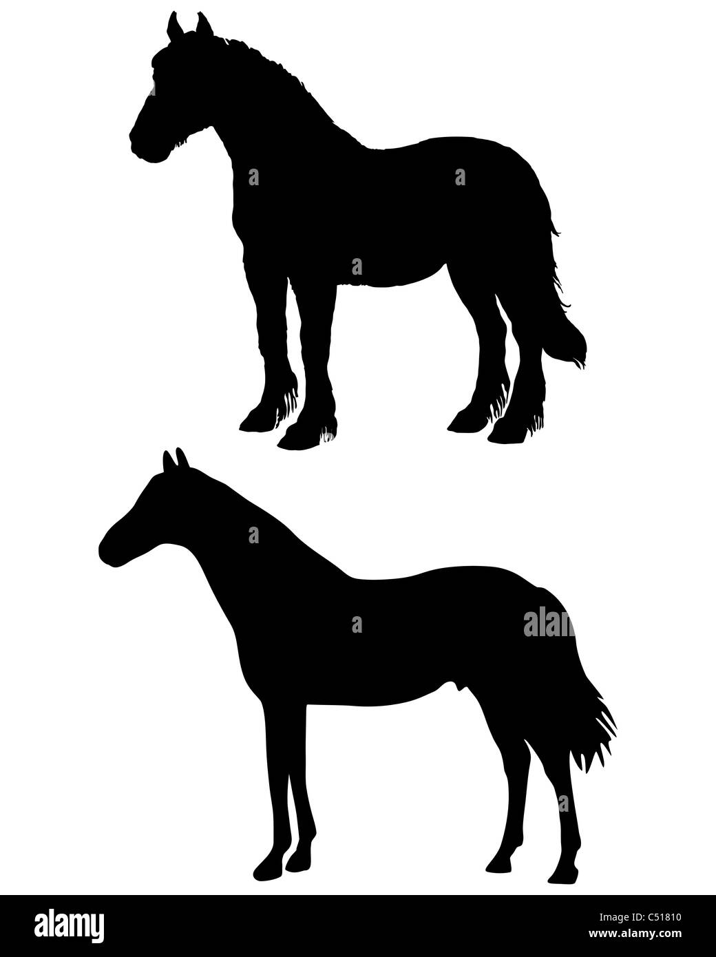 Horses silhouettes Stock Photo