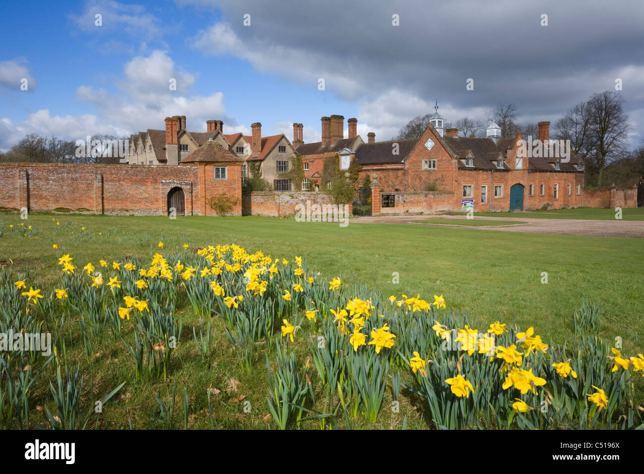 Daffodils outside Packwood House in Spring. Warwickshire, England, UK. Stock Photo