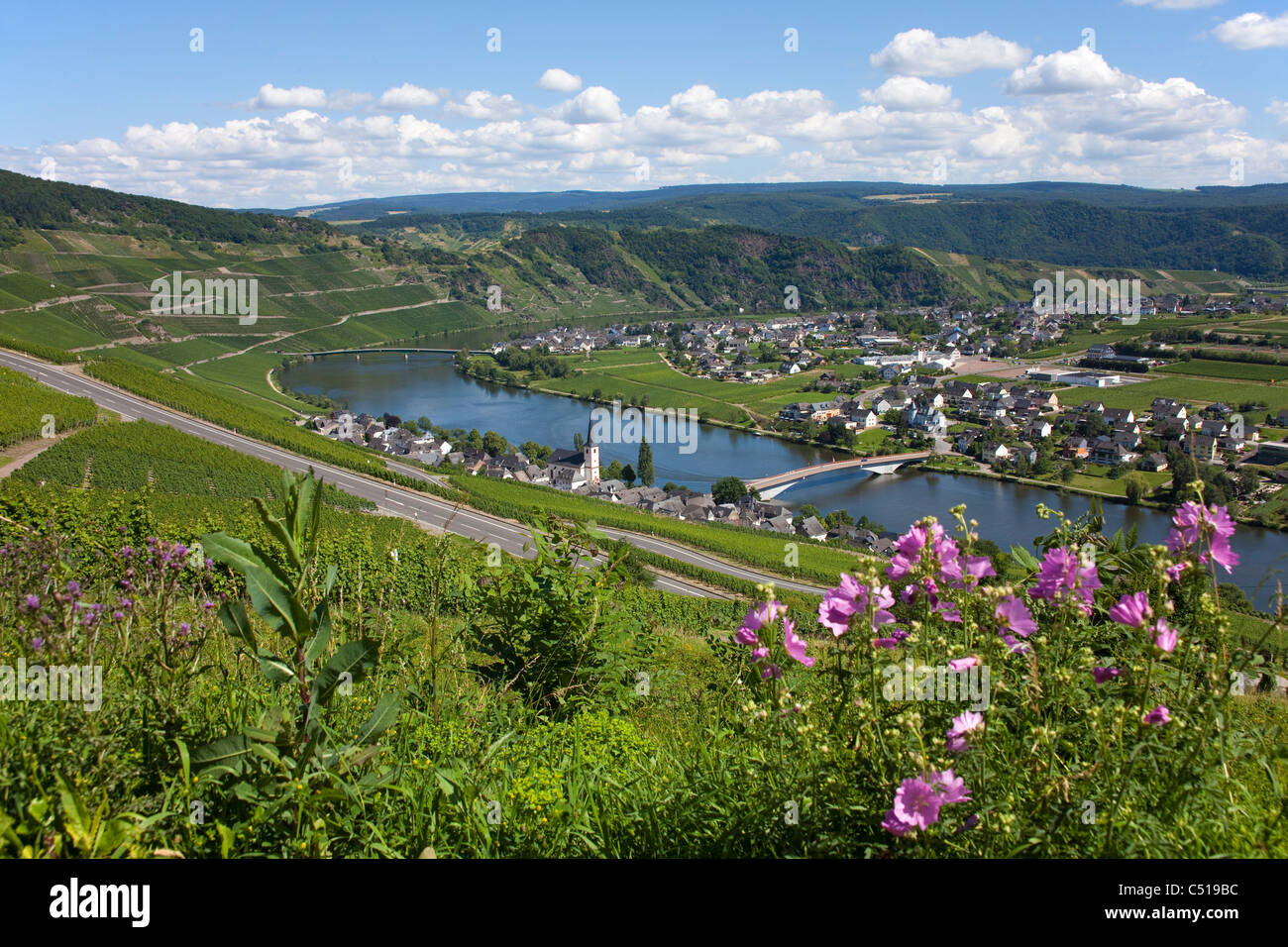 The wine village Piesport at Moselle river, Rhineland-Palatinate, Germany Stock Photo