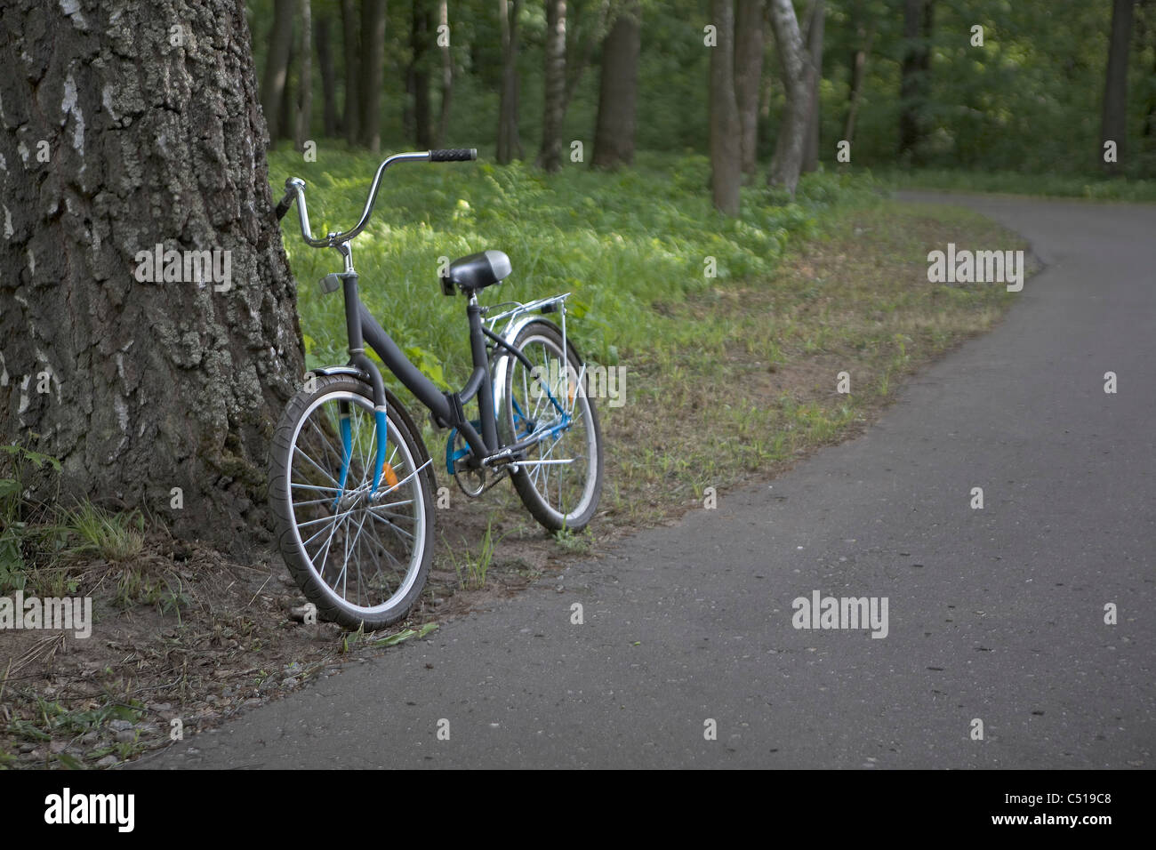children´s bicycle leaning against tree Stock Photo