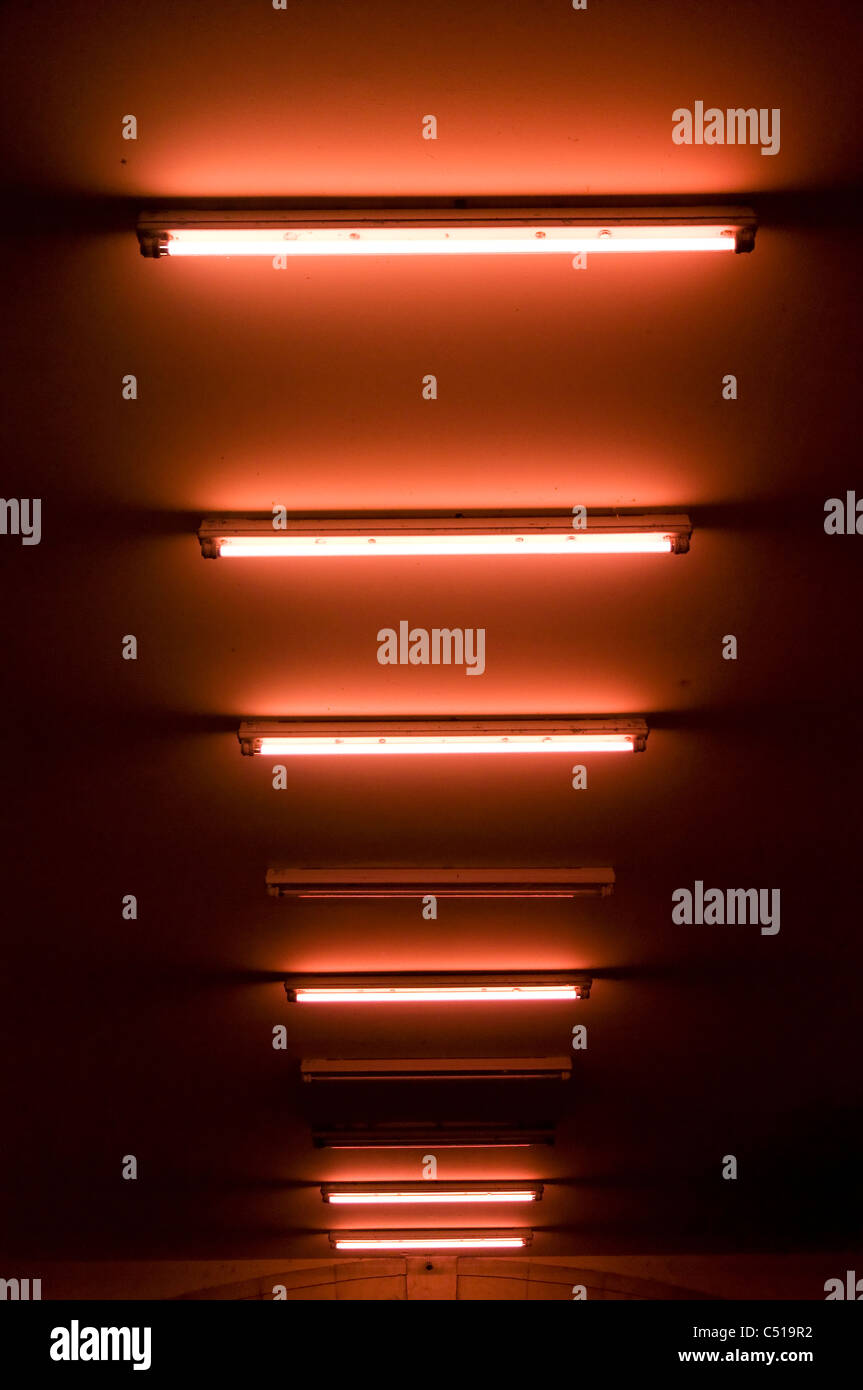 Red Neon Light Stock Photos & Red Neon Light Stock Images Alamy