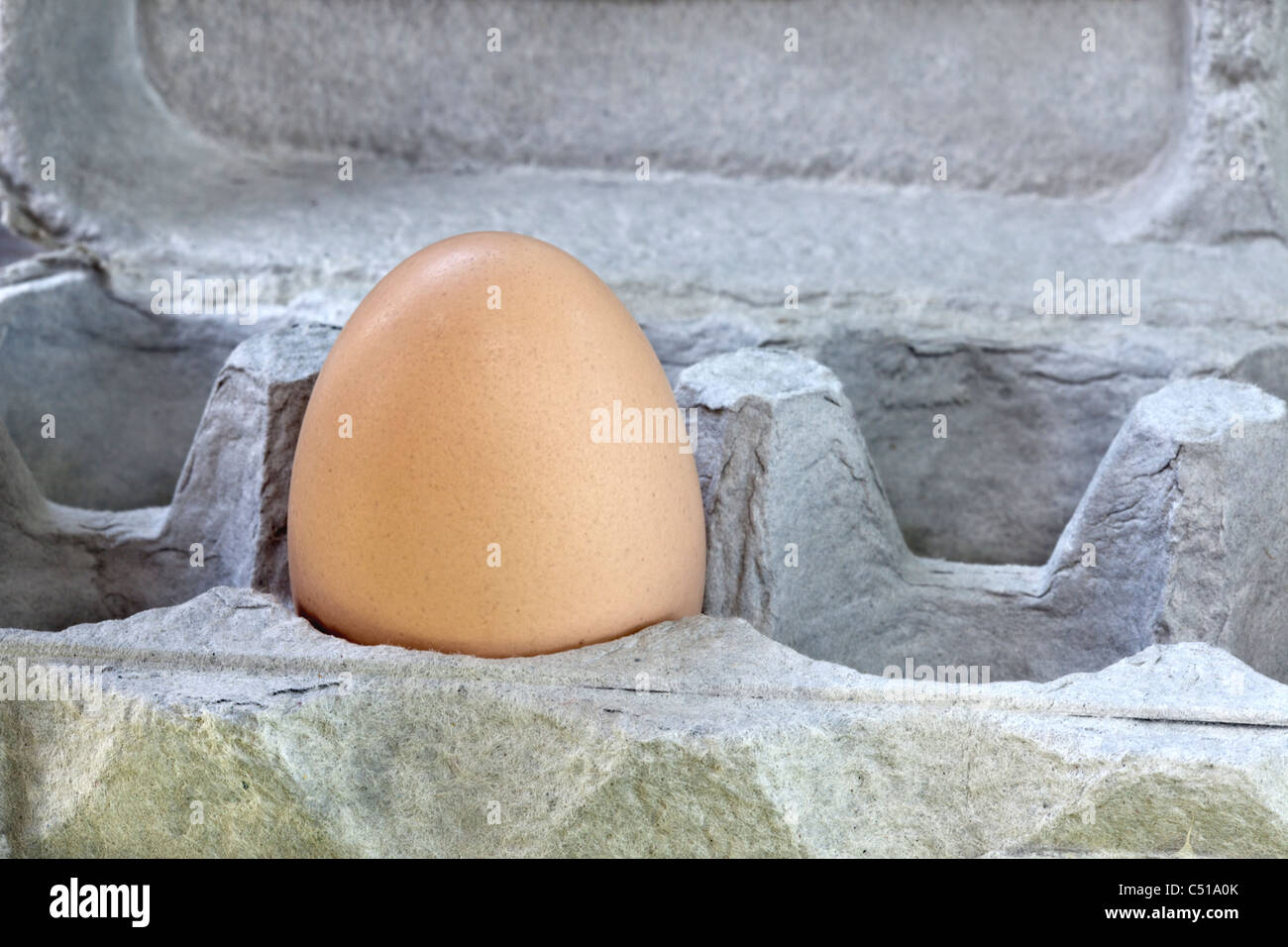 Brown 'Chicken' egg in carton Stock Photo