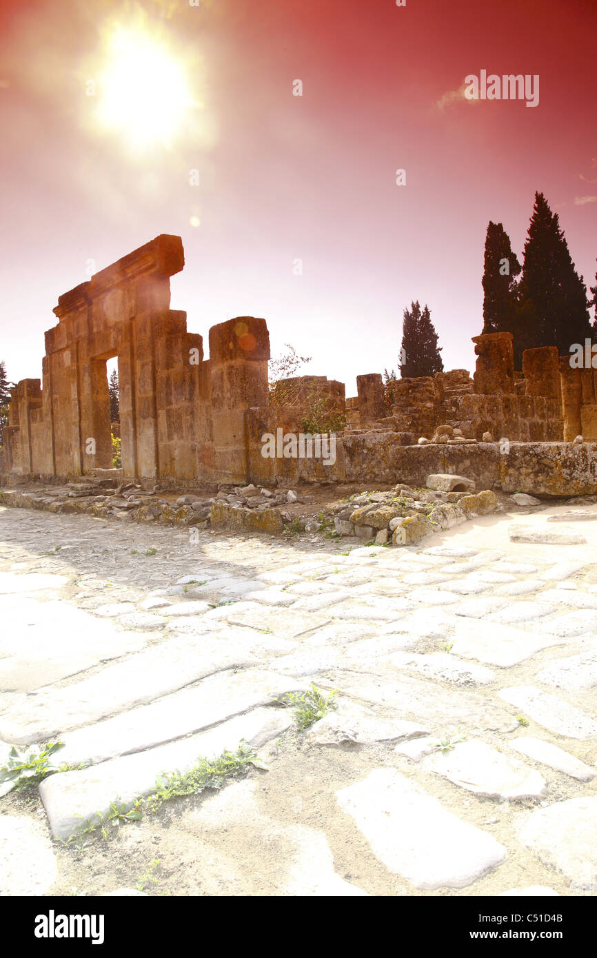 Africa, Tunisia, Ancient Punic and Roman Ruins at Utica Archaeological Site Stock Photo