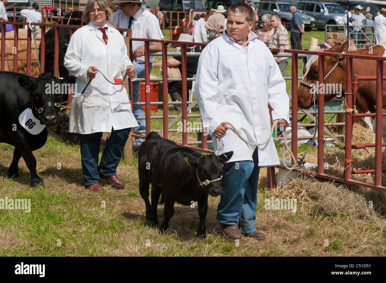 ENTRANTS IN AGRICULTURAL SHOW CHEPSTOW MONMOUTHSHIRE WALES UK Stock Photo