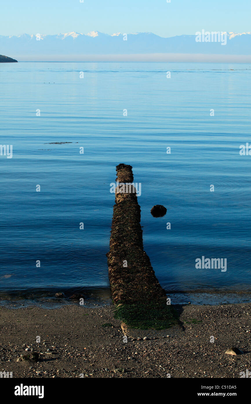 Pacific ocean on a calm summer morning looking towards olympic mountain range Stock Photo