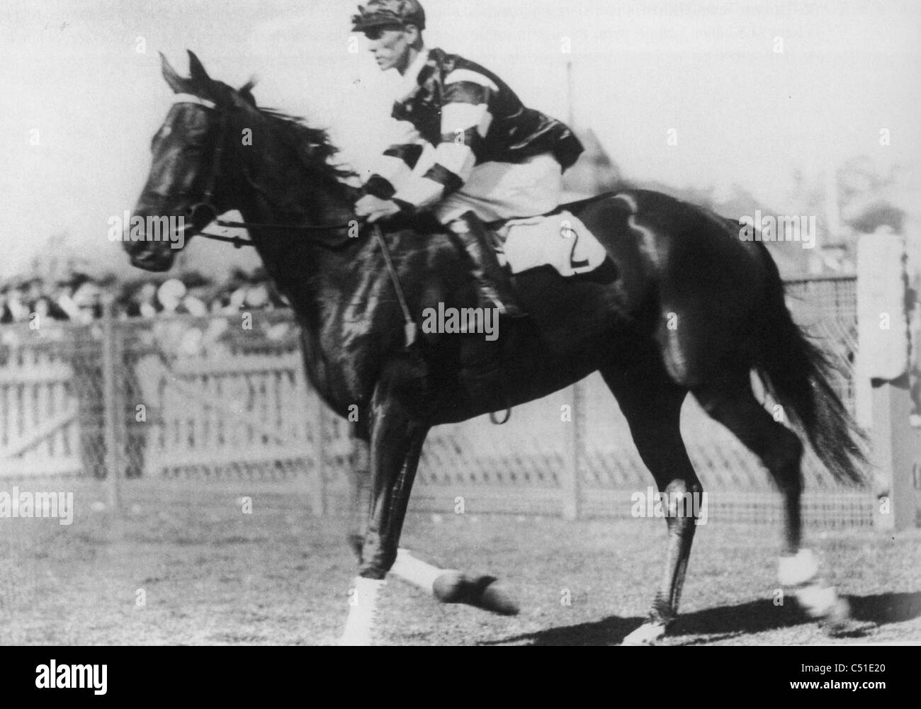 PHAR LAP ridden by Jim Pike trots to the start of the AJC Australian Derby at Randwick in 1925 which he won Stock Photo