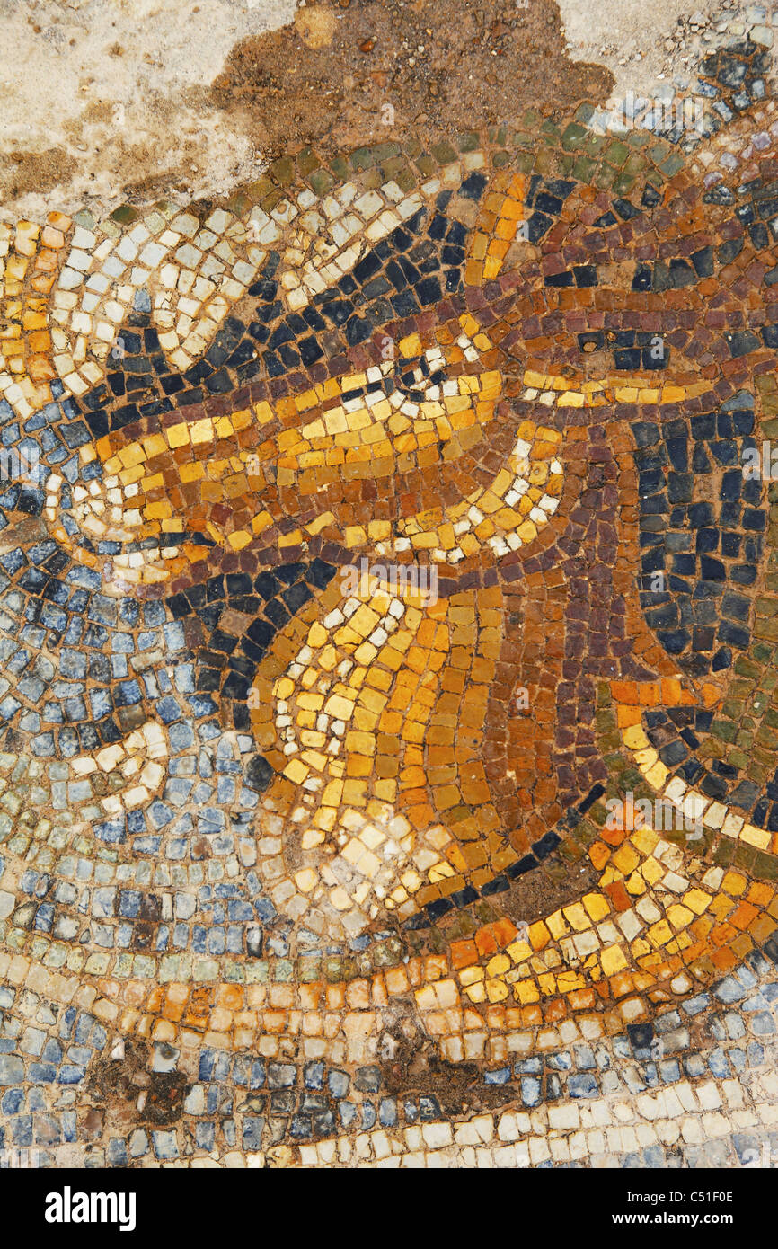 Africa, Tunisia, Bulla Regia Archaeological Site, Roman Ruins, New House of the Hunt, Horse Mosaic Stock Photo