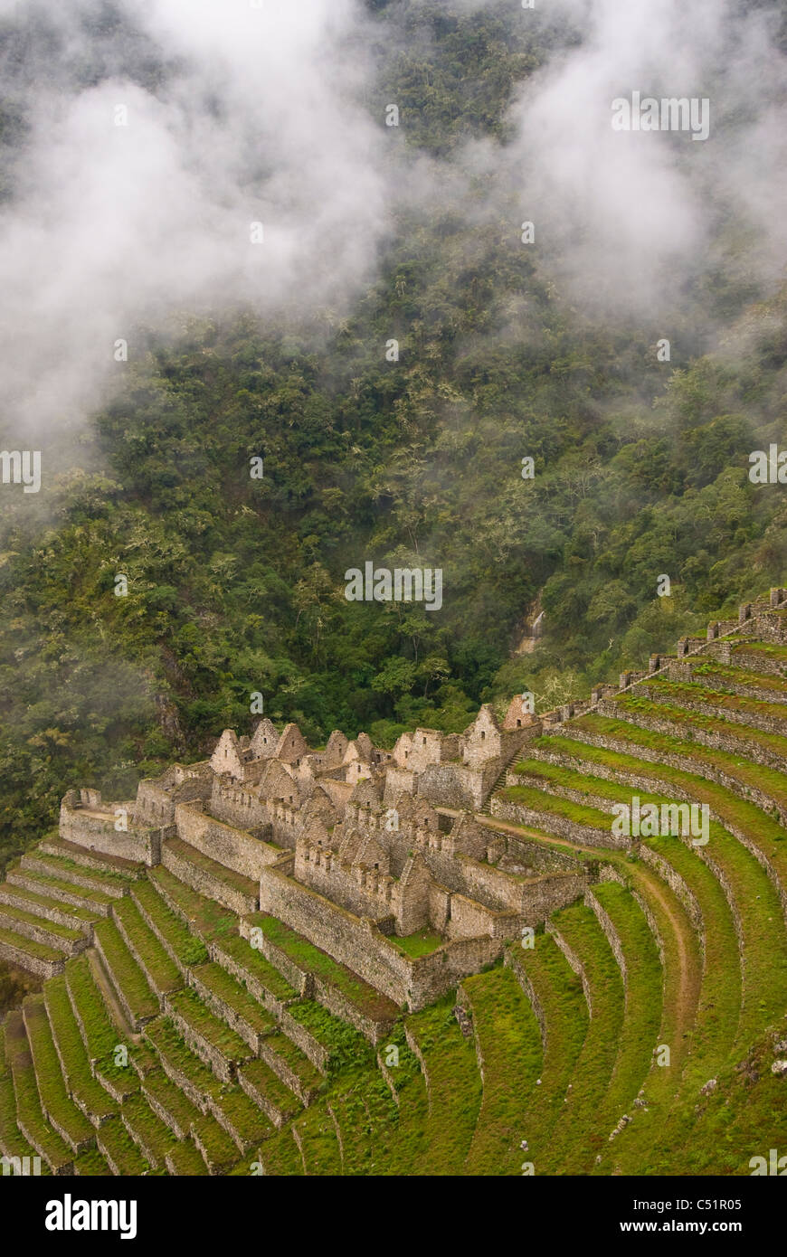 Winay Wayna (Forever Young) Inca Ruins along the Inca Trail in the Peruvian Andes Stock Photo