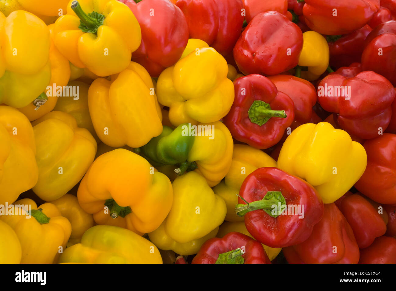 Fresh red and yellow Bell Peppers at Public Market in Rochester New ...