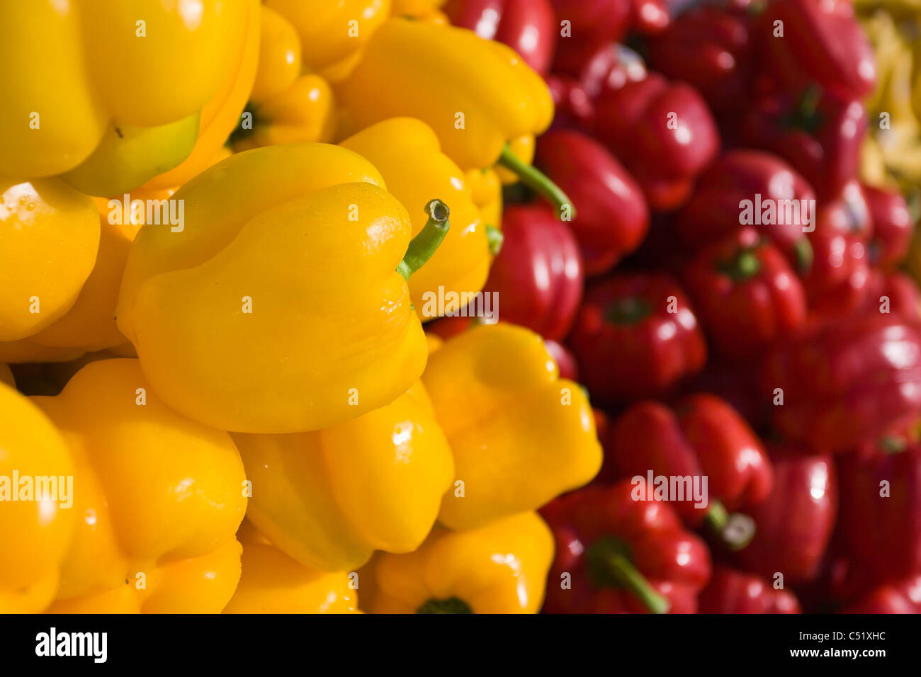 Fresh red and yellow Bell Peppers at Public Market in Rochester New ...