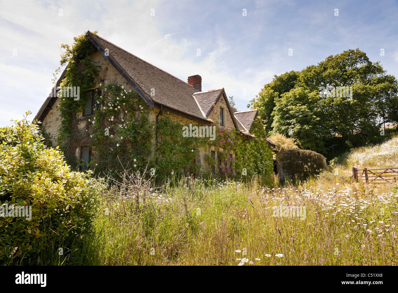 Old abandoned stone cottage near Whitwell, Isle of Wight. JMH5145 Stock Photo