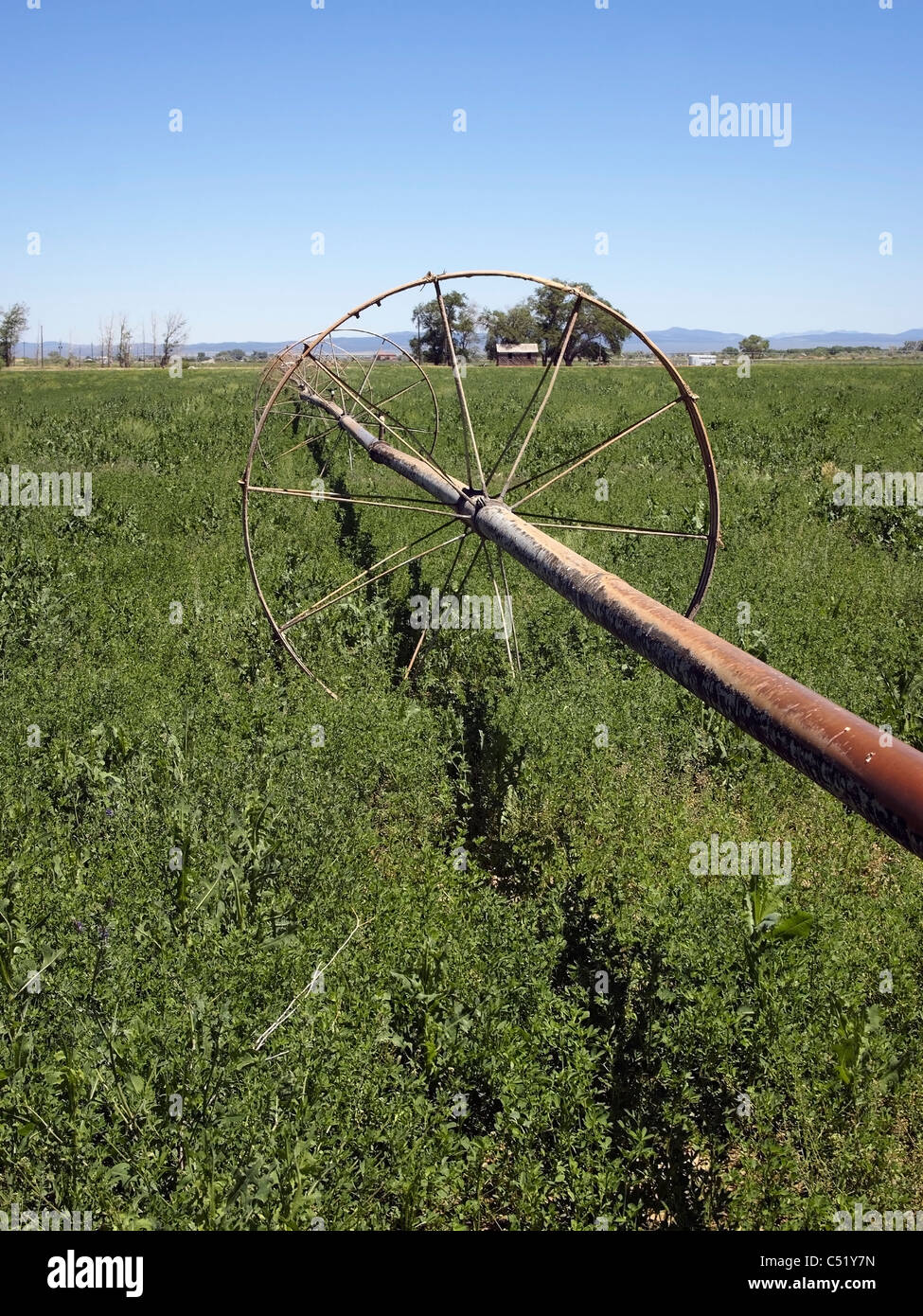 An old irrigation line stands unused in a vacant field Stock Photo - Alamy