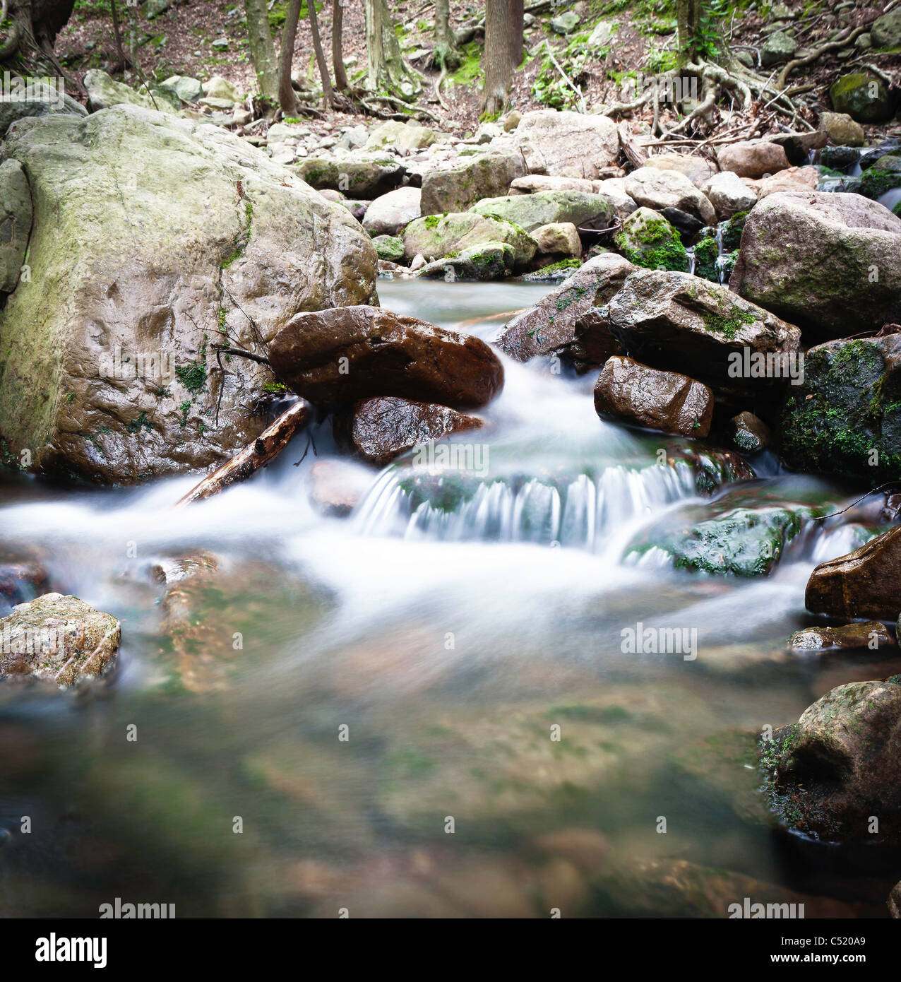 Creek, Water, Slow Shutter Speed, Silky Water Stock Photo